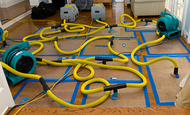 Professional Water Damage Restoration technician working in Saint Peters, MO
